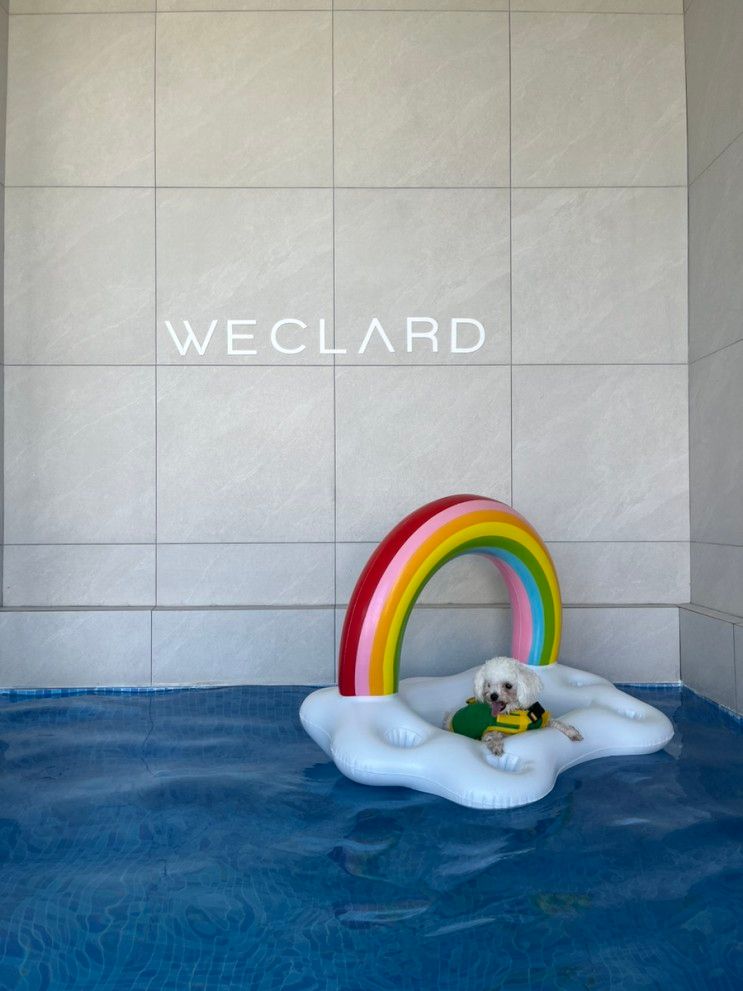 [대구 근교/경주 애견 풀빌라숙... 까지 신상 위클라드 풀빌라