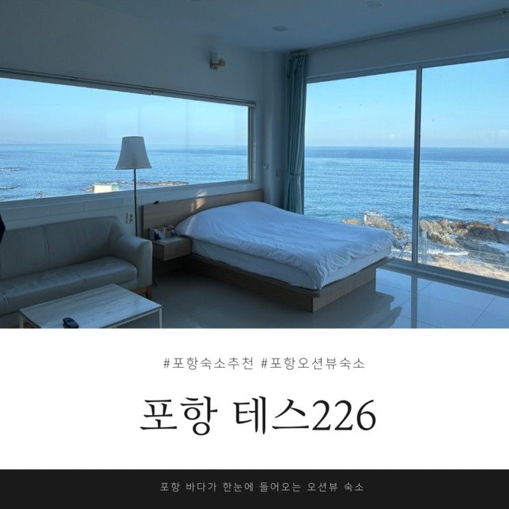 포항 테스 226 202호 내돈내산 후기