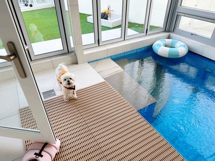 경주 애견동반펜션 위클라드 풀빌라에서