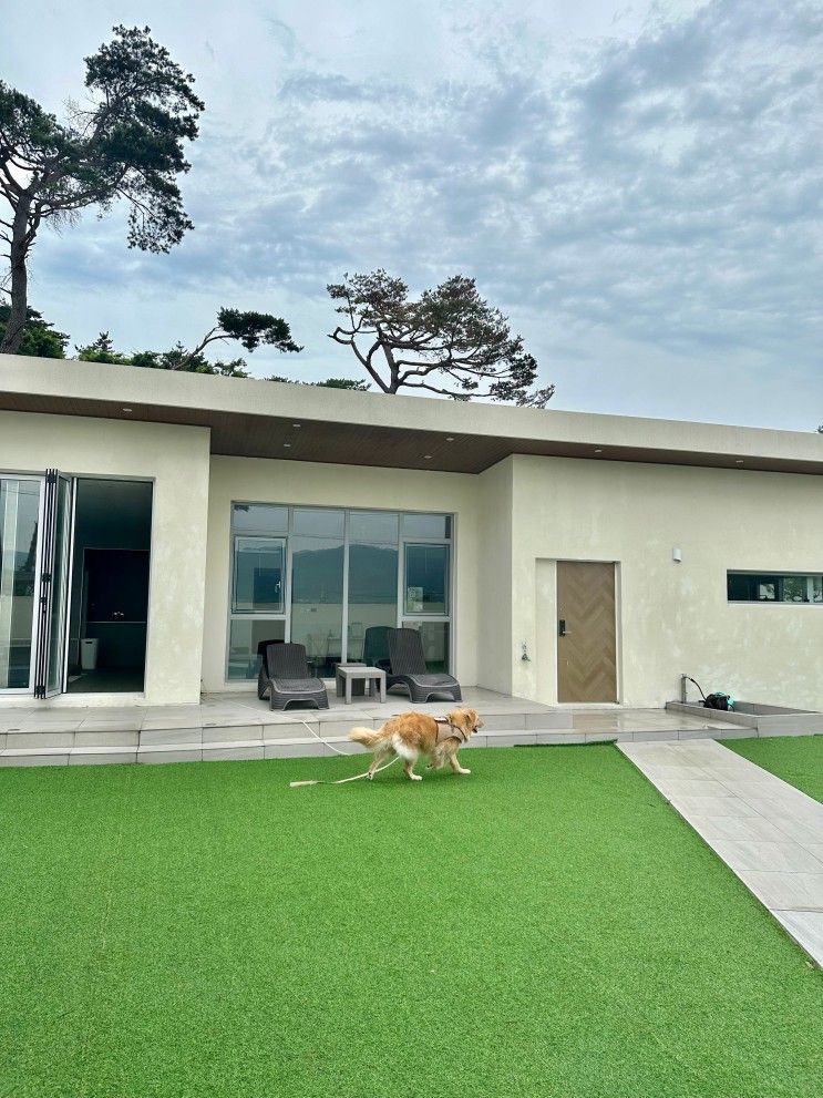 [경주/ 숙소] 경주 신축 애견동반 숙소 ‘위클라드 풀빌라’...