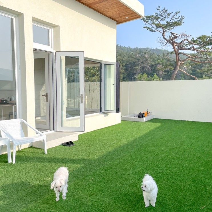 경주 애견동반 펜션 실내 자쿠지 위클라드 애견 풀빌라