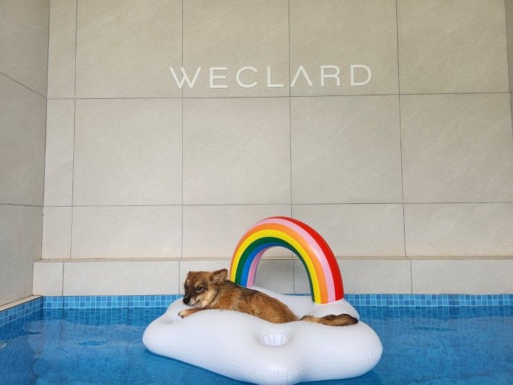 경주 위클라드 애견 풀빌라