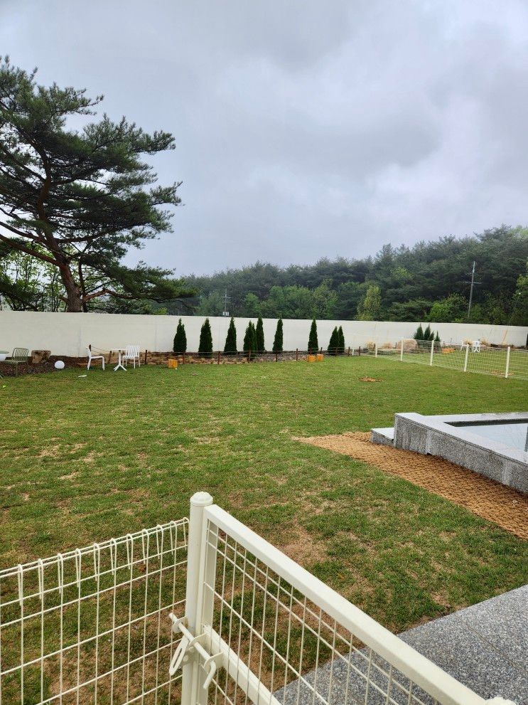 내돈내산 경주 위클라드 애견 풀빌라 솔직후기