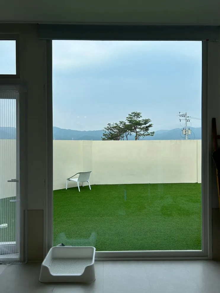 경주 위클라드 애견 풀빌라 만족 후기