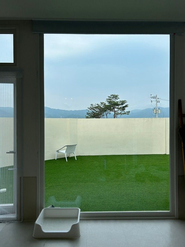 경주 위클라드 애견 풀빌라 만족 후기