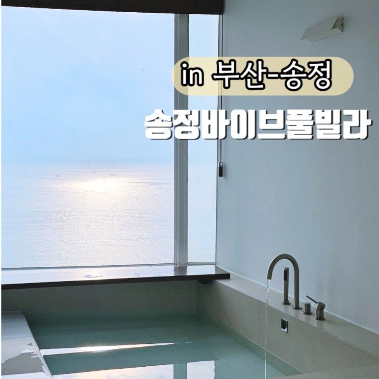 부산 송정 풀빌라 가족여행숙소 송정바이브풀빌라 펜션