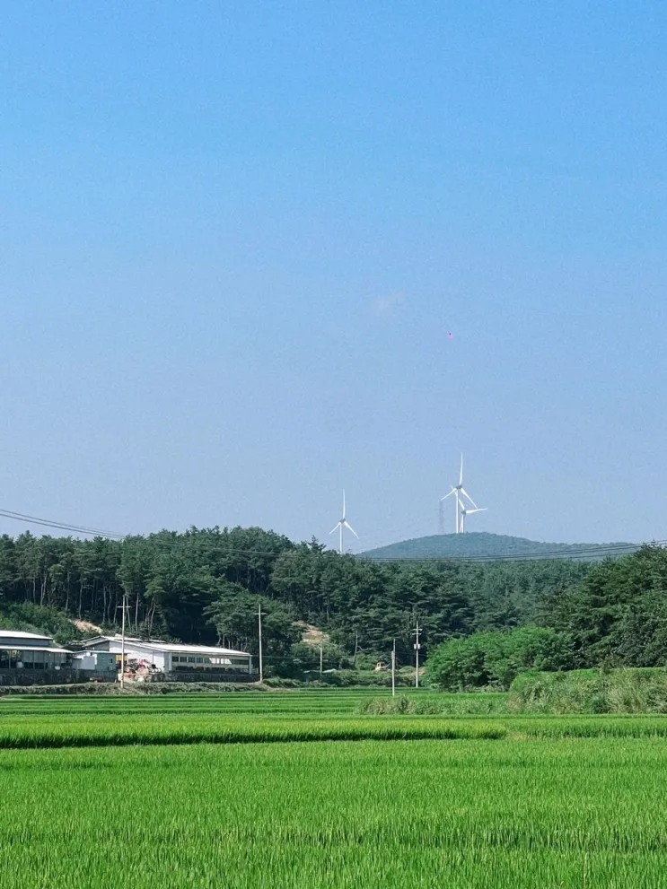 경주 펜션‘322번가펜션’