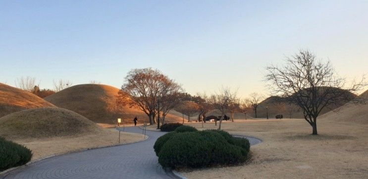 246장) 경주대릉원, 빛누리정원, 322번가 펜션 <경주 여행기...