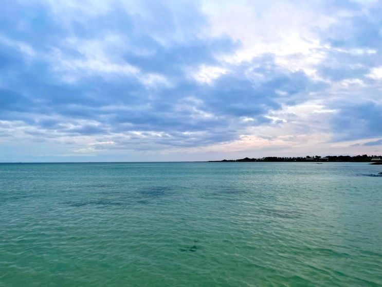 제주도동쪽펜션 한적한 세화해변 근처 숙소  달토끼펜션