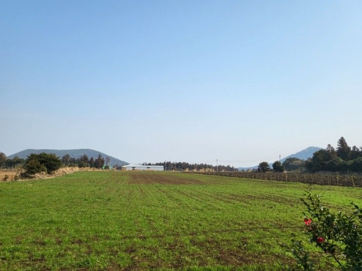 구좌읍펜션, 제주 송당리 숙소 순덕이별당 상세 후기