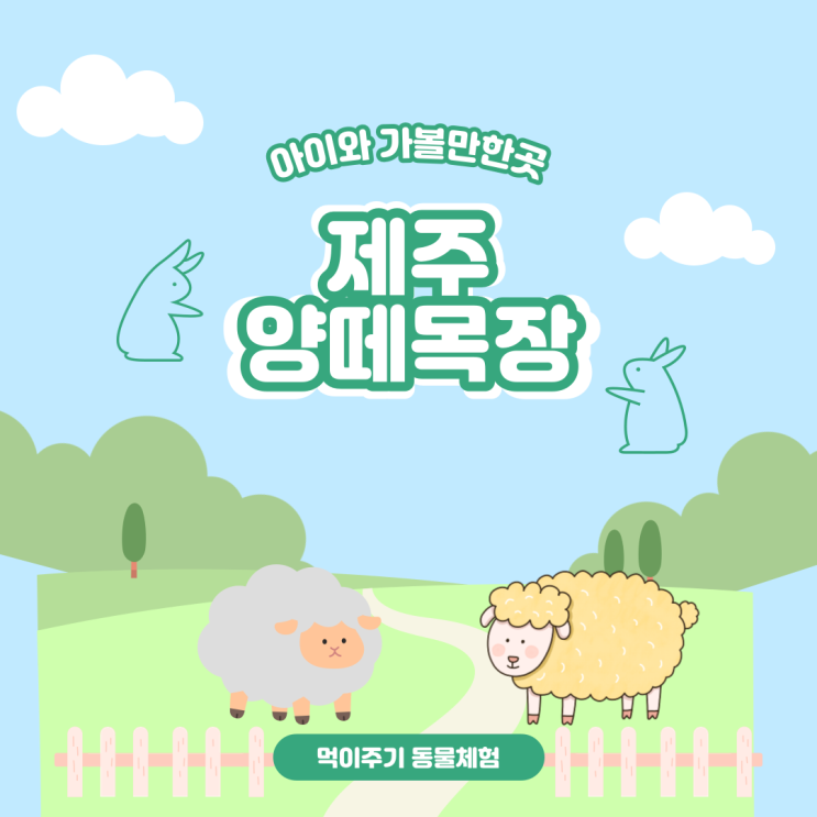 아기가 너무 좋아하는 제주 양떼목장 (ft. 당근 먹이주기 동물체험으로 친해지기)