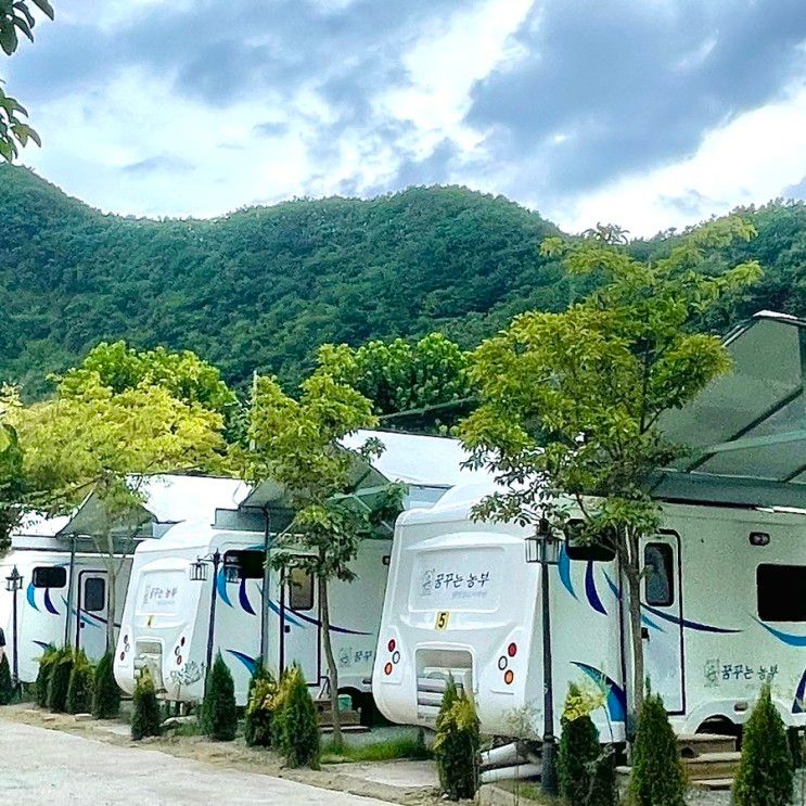 전주 근교 카라반 추천<대전 꿈꾸는 농부 오토캠핑장>