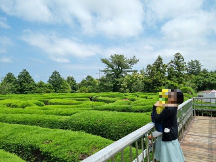 제주도 동쪽 아기랑 가볼만한곳 :: 제주 김녕미로공원 할인팁