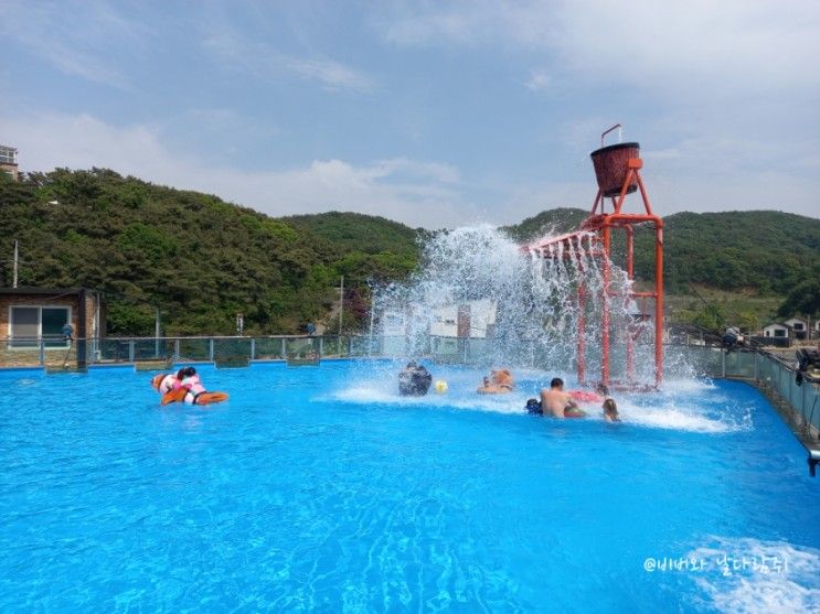 영흥도 여행/제피루스 펜션 5월 미온수풀 수영장...