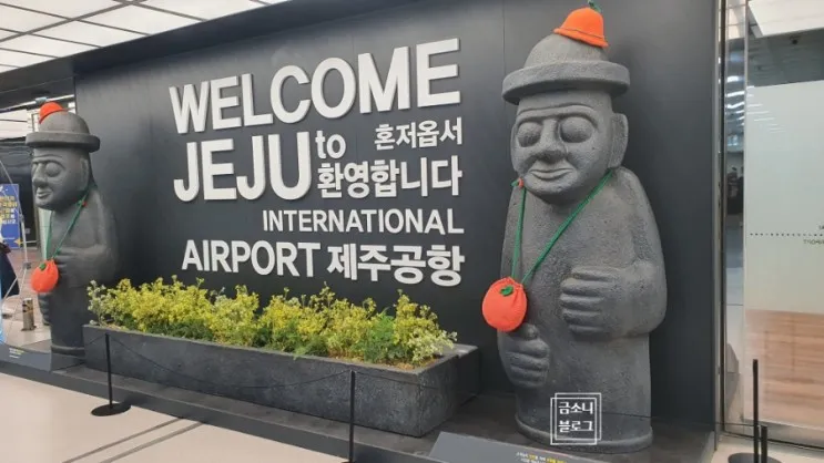 제주도 여행 아이랑 루프탑 수영장 : 다인오세아노 호텔 리조트...
