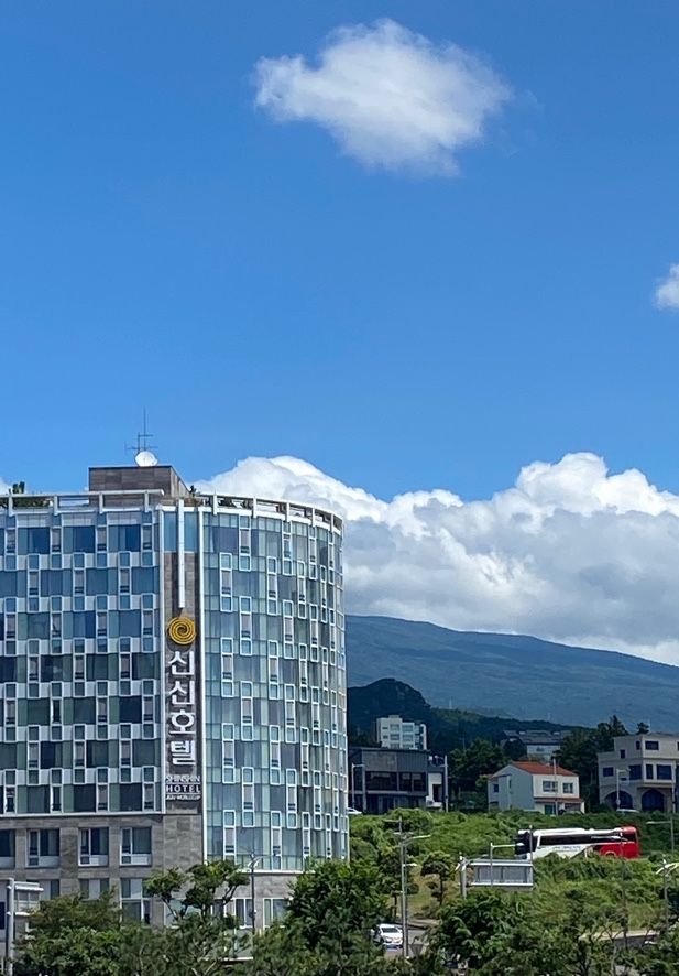 [제주도 서귀포 숙소] 신신호텔 제주월드컵 _ 내돈내산 가성비...