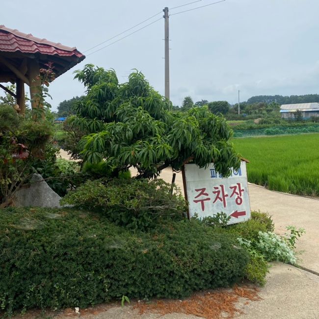 잊지못할 몽산포 파밀리에