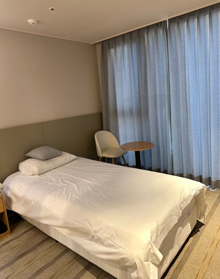 [제주] 남쪽 혼여행자 가성비 호텔 추천! 신신호텔 천지연