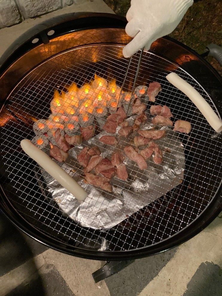 강원도 홍천 애견동반 여행 엘페로 애견리조트&펜션...