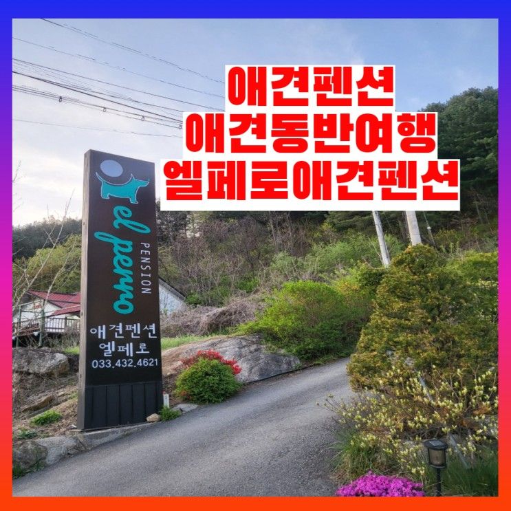애견펜션 추천 애견동반여행 엘페로애견펜션