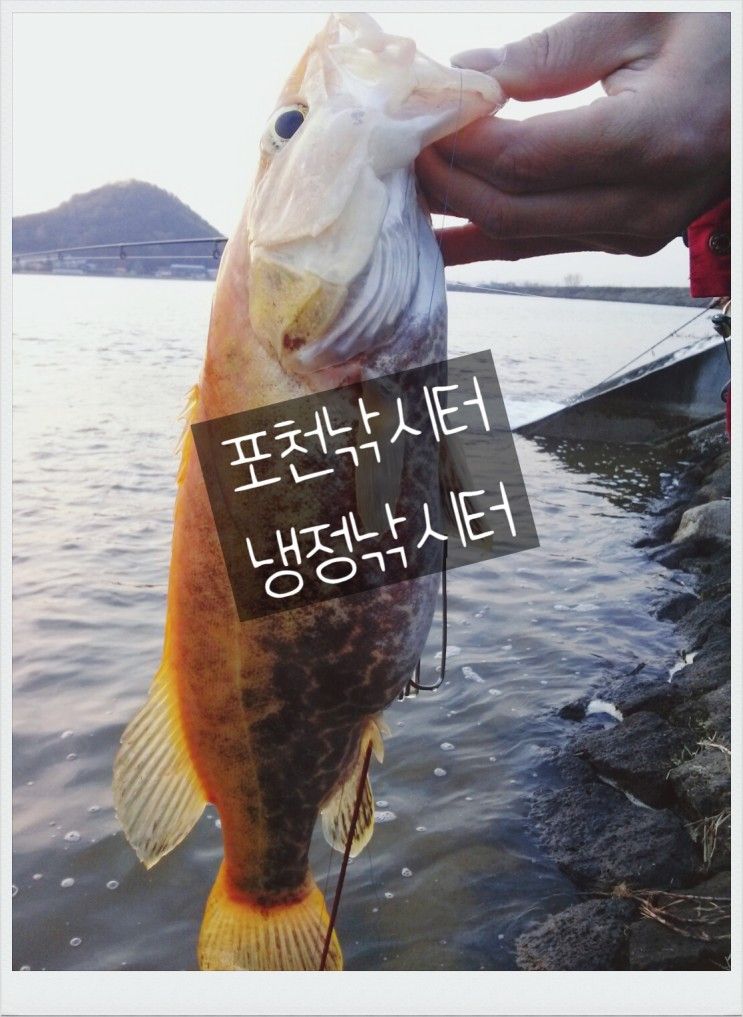 포천낚시터 이용하면 포천해와달펜션을 저렴하게
