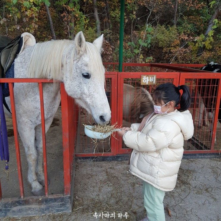 [경남/진주] 아이와 가볼 만 한 야외 키즈카페 "그랜드파파하우스"