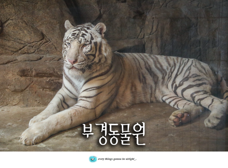 김해 아이와 가볼만한곳, 부산근교 경남 김해 부경동물원