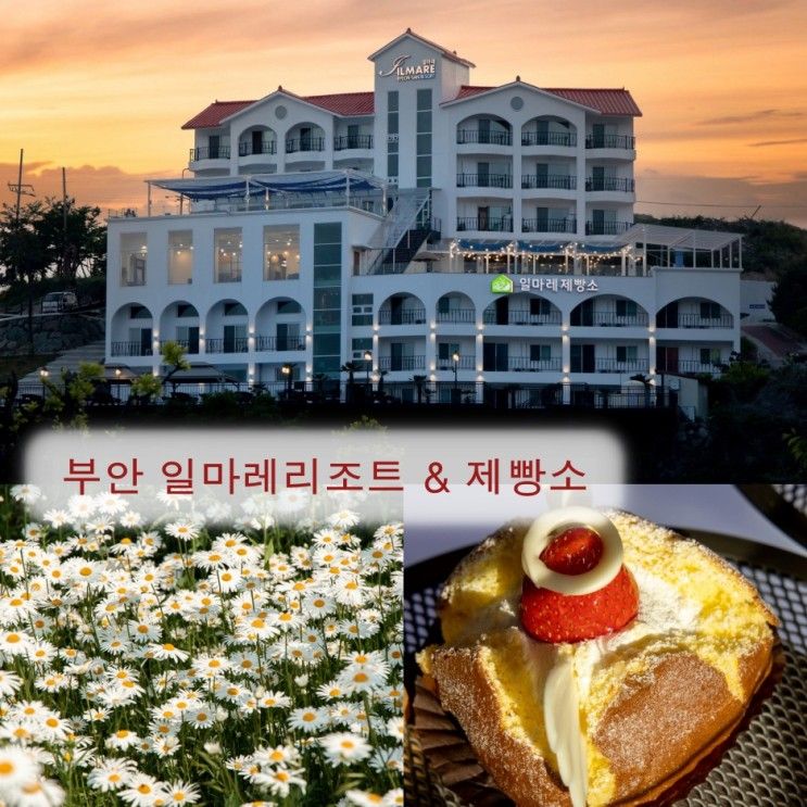 변산반도 오션뷰 숙소 일마레리조트 & 부안 빵지순례1번지...