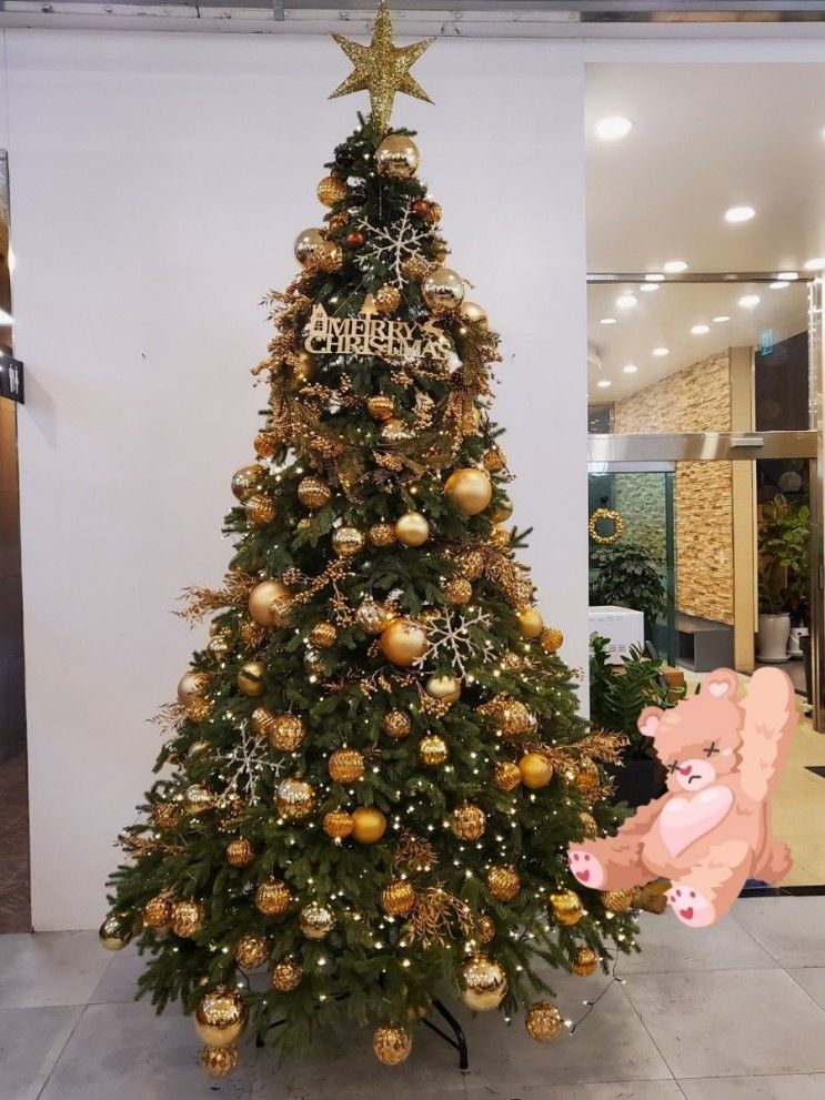<변산카페>일마레제빵소.일마레리조트. 메리크리스마스~~