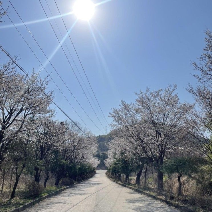 가평글램핑 경치가 너무 좋은 돔아일랜드 304 힐링하고 왔어요 :)