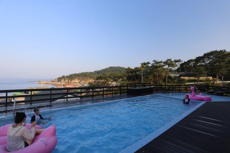 포항풀빌라 오붓하게 즐기기 좋은 빠쏘풀빌라펜션