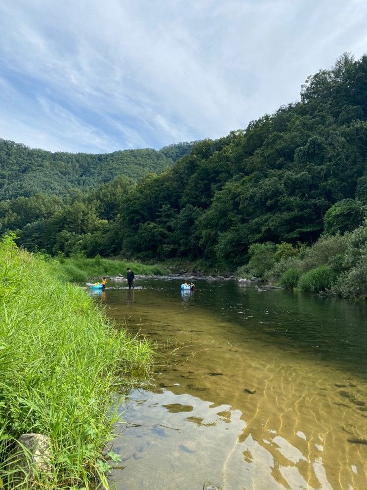 [가평 계곡펜션]초록정원 계곡 독채 펜션에서 물놀이 하고 왔어요~