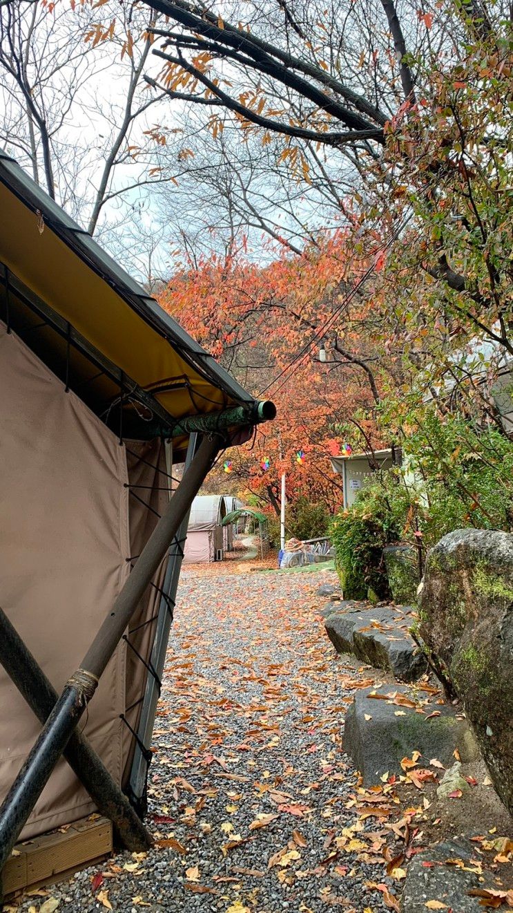 느낄수 있는 “ 가평 용수그린랜드 글램핑 ” 친구들과 여행 ️