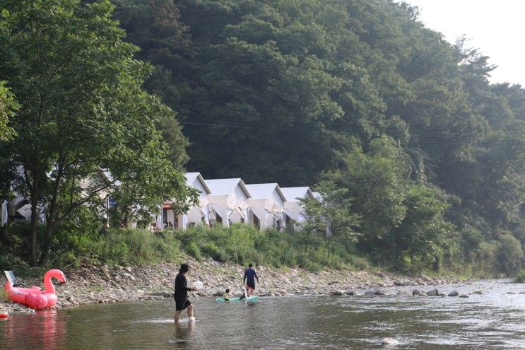 계곡이 있어 더 좋은 서울근교글램핑 가평 하늘숲글램핑파크