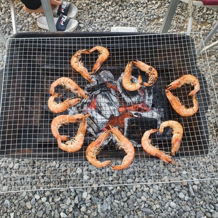 가평 하늘숲글램핑파크