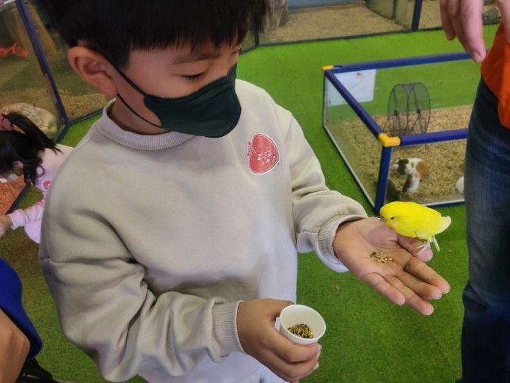 파주 실내동물원 쥬라리움 파주점 아이와 함께 가기 좋아요