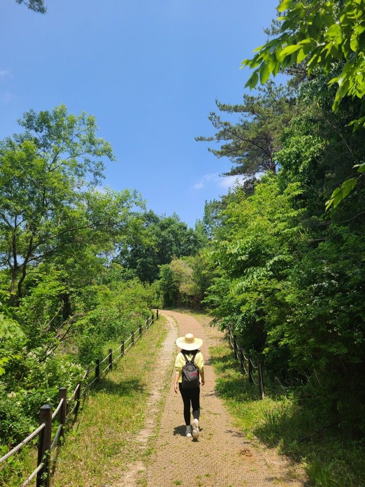 [스팟ku]고창_운곡람사르습지,책마을해리,청농원