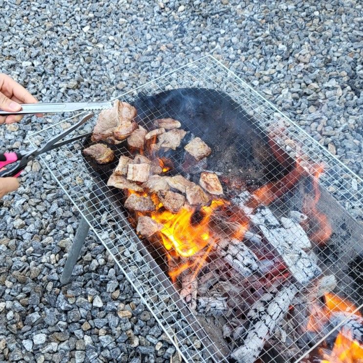 포천카라반 숲속힐링 제대로! 전망좋은 스토리숲 방문기