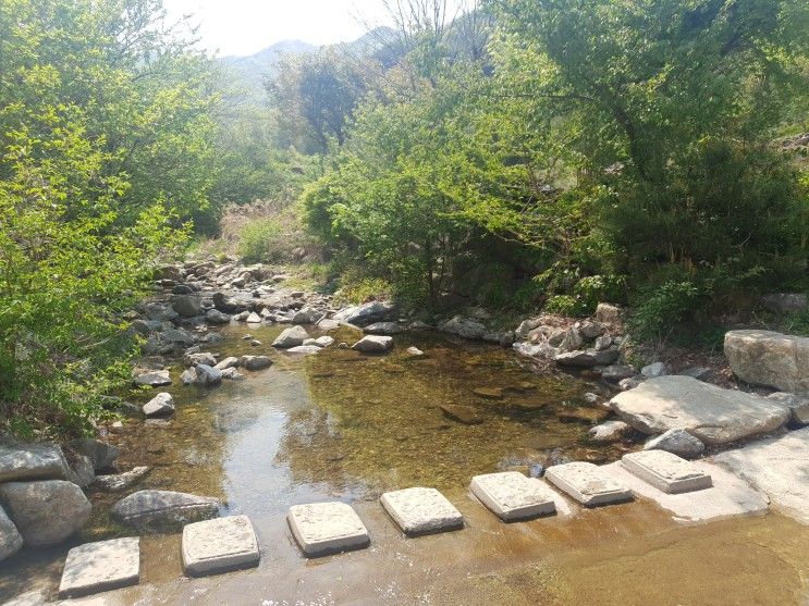 <공주 여행> 계룡산동학사 대전근교펜션 공기좋은 "상신계곡펜션"