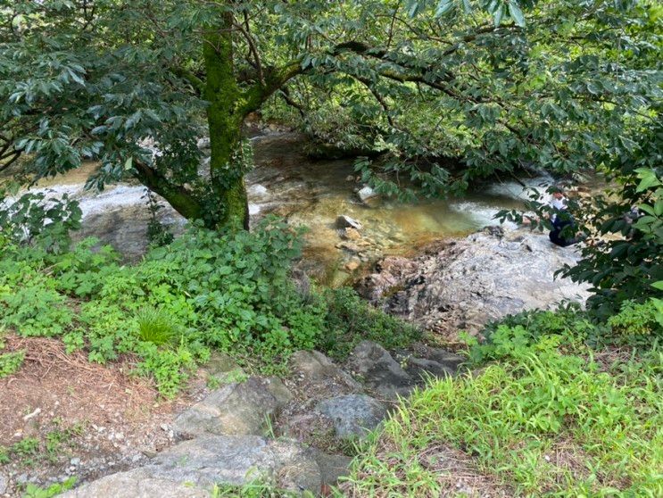 [공주 계룡산 상신 흙집 펜션]... 펜션 바로 앞에 시원한 계곡이...