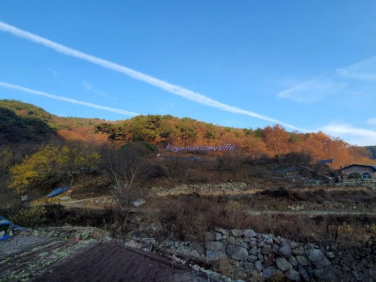 대전근교 계룡산 동학사 펜션 추천~ 상신계곡펜션!