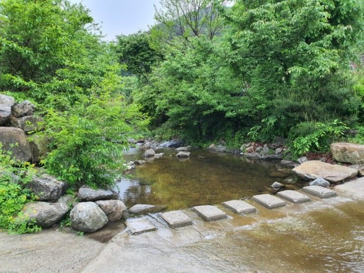 대전 근교 계룡산 동학사 상신계곡펜션 계곡뷰가 예술