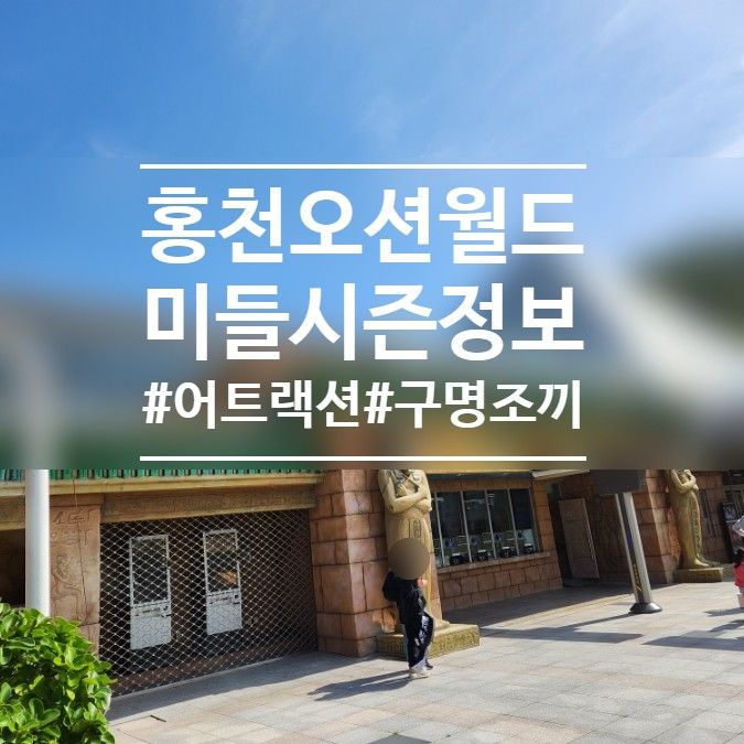 홍천 비발디파크 오션월드 미들시즌 입장권할인...