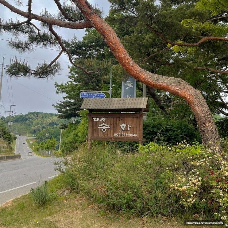 [강화도] 송화 펜션ㅣ대가족 모두를 만족시킨 독채 펜션