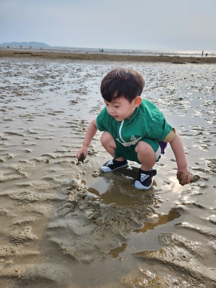 태안 해안가 풀빌라 5세 아들과 여행