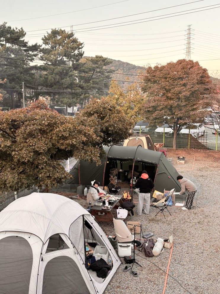 텐트없이 캠핑하기 좋은 대부도 해솔피아 캠핑장 (초대캠...