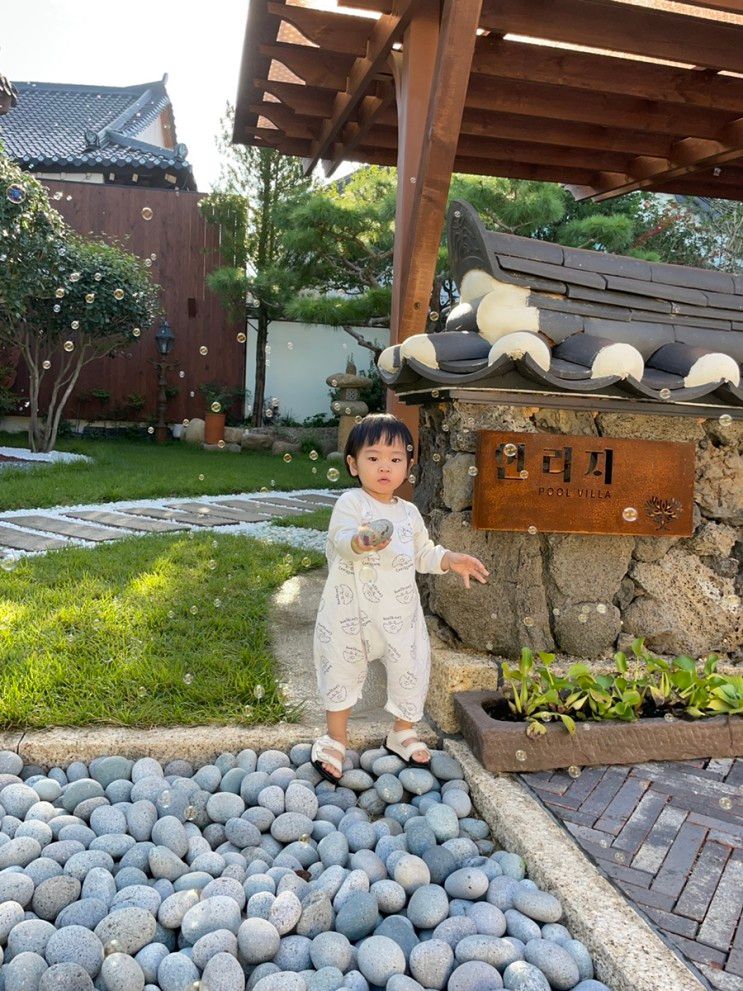 경주 독채 펜션 '연리지' 풀빌라 숙소 또 가고 싶어요!