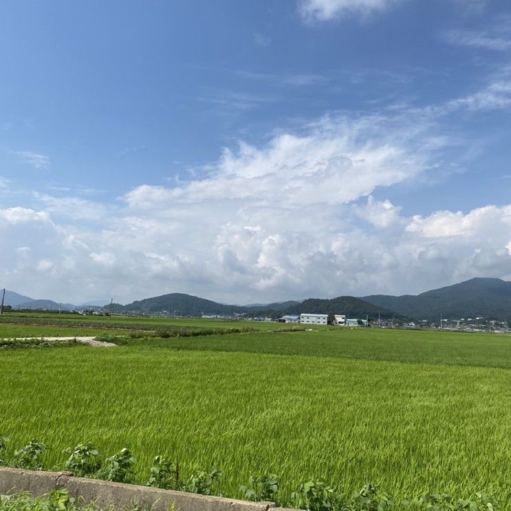 강화도 가볼만한 곳 추천(강화루지, 강화해신탕, 펜션달...