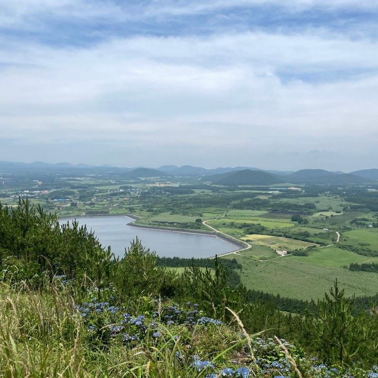 성산일출봉 숙소 호텔 제주 스테이 삼달오름