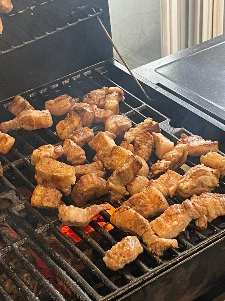 용인 수지구 고기동 혜원이안펜션 바베큐 물놀이 족구